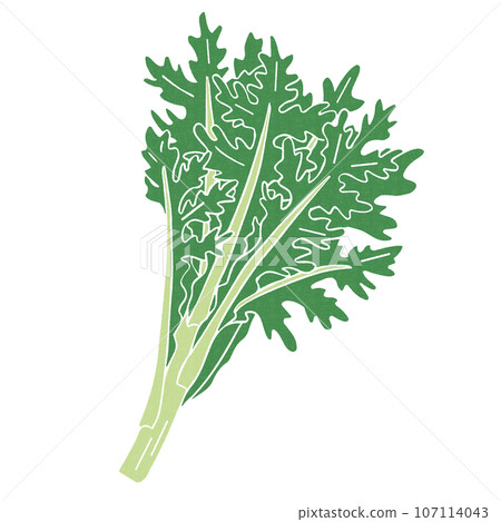 Simple spring chrysanthemum illustration, vector material 107114043
