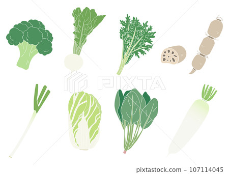 Winter vegetable illustration material set, vector material 107114045