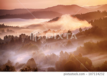 Morning mountain landscape 107114232