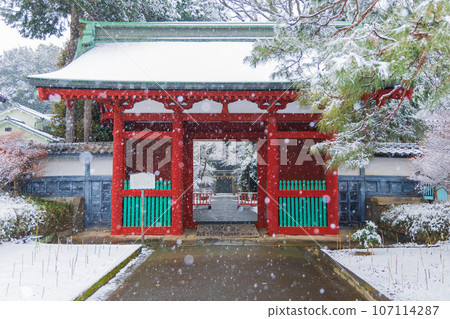 Winter in Little Edo Kawagoe, snowy Senba Toshogu Shrine Zuishinmon Winter in Little Edo Kawagoe, snowy Senba Toshogu Shrine Zuishinmon 107114287