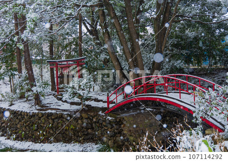 冬天的小江戶川越、喜多院、嚴島神社下著雪 冬天的小江戶川越、喜多院、嚴島神社下著雪 107114292