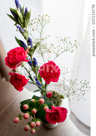 Flowers such as carnations and gentians arranged in a vase (by the window, with white lace curtain back) Flowers such as carnations and gentians arranged in a vase (by the window, with white lace curtain back) 107114776
