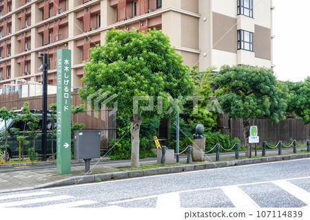 地區振興的成功範例：水木茂道路（島根縣境港市） 107114839
