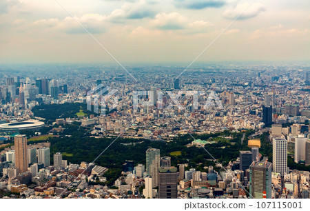 Aerial view of Minato, Tokyo, Japan 107115001