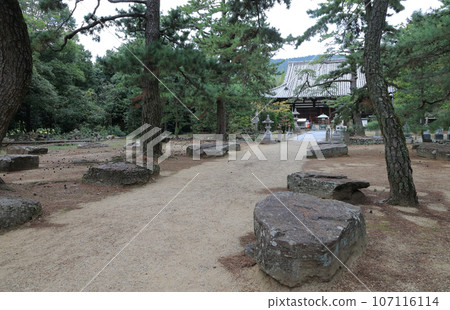 四國聖地第80號贊岐「國分寺」正殿和正殿前建造時的正殿基石 107116114