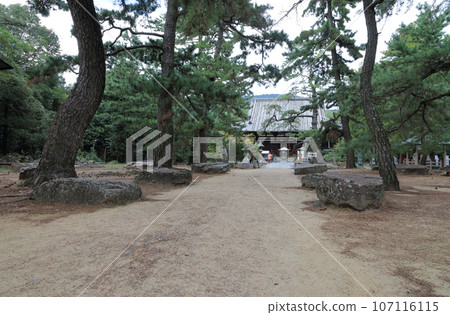 四國聖地第80號贊岐「國分寺」正殿和正殿前建造時的正殿基石 107116115