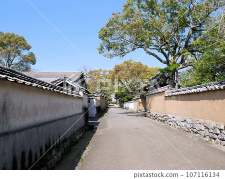 Kitsuki Samurai Residence Street (Kitsuki City, Oita Prefecture) 107116134