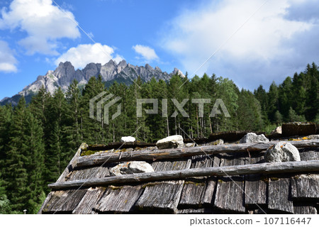 Rustic mountain roof 107116447
