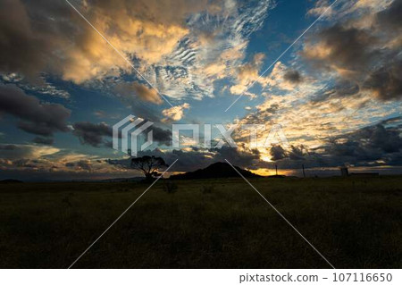 草地和閃亮的雲彩 草地和閃亮的雲彩 107116650