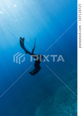 Freediver Swimming in Deep Sea With Sunrays. Young Man DIver Eploring Sea Life. Freediver Swimming in Deep Sea With Sunrays. Young Man DIver Eploring Sea Life. 107116725