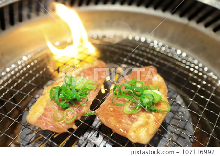 Japanese black beef skirt steak Japanese black beef skirt steak 107116992