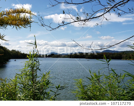 兵庫縣秋天的天空和湖邊風景自然 兵庫縣秋天的天空和湖邊風景自然 107117270