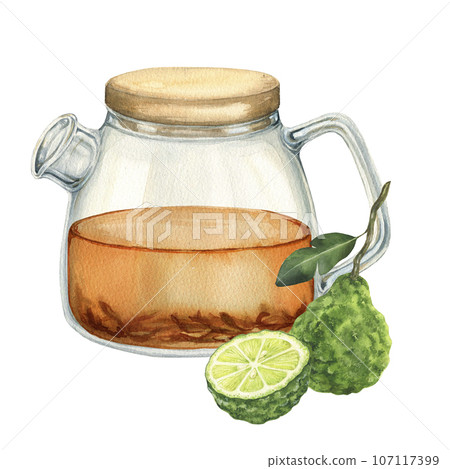 Watercolor illustration of glass teapot of tasty bergamot tea and fresh fruits on white background Watercolor illustration of glass teapot of tasty bergamot tea and fresh fruits on white background 107117399