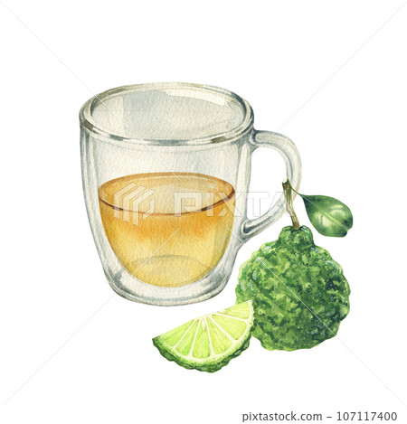 Watercolor illustration of glass cup of tasty bergamot tea and fresh fruits on white background 107117400