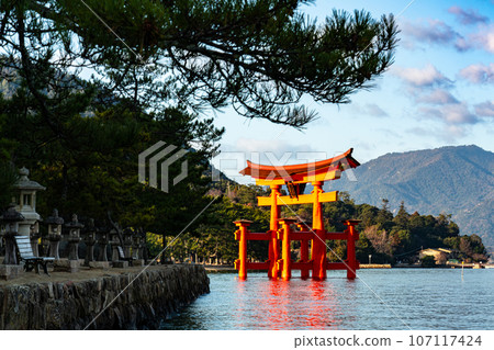 [World Heritage Site Itsukushima Shrine] [Aki Kuni Ichinomiya] Otorii 3 on a sunny New Year's morning Hatsukaichi City, Hiroshima Prefecture 107117424