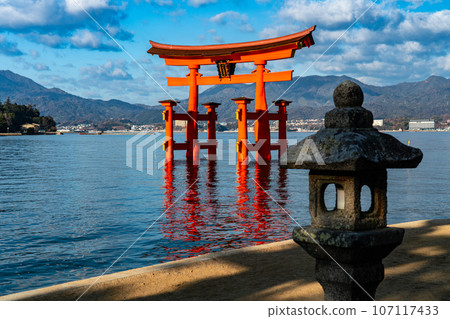 【世界遺產嚴島神社】【安藝國一宮】廣島縣廿日市新年陽光明媚的早晨的大鳥居9 107117433