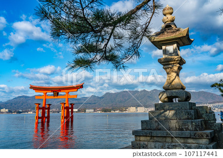 [World Heritage Site Itsukushima Shrine] [Aki Kuni Ichinomiya] Otorii 14 on a sunny New Year's morning Hatsukaichi City, Hiroshima Prefecture 107117441