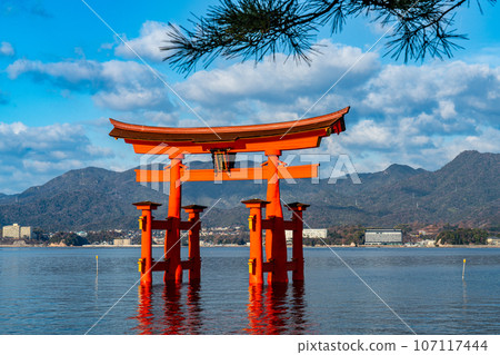 【世界遺產嚴島神社】【安藝國一宮】陽光明媚的元旦早晨的大鳥居17號廣島縣廿日市市 107117444