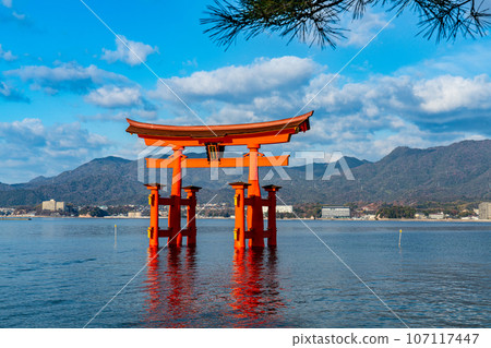 [World Heritage Site Itsukushima Shrine] [Aki Kuni Ichinomiya] Otorii 20 on a sunny morning in the New Year Hatsukaichi City, Hiroshima Prefecture 107117447