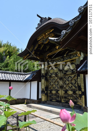 鎌倉Kenchoji寺 107117551