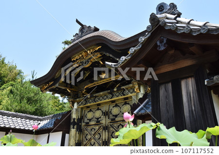 鎌倉Kenchoji寺 107117552