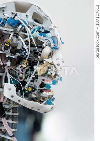 head of anthropomorphic robot capable of imitating emotions, without an outer shell skin, on a white background 107117613