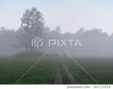Climbers walking through Oe Wetland in Ozenuma, which is hazy in the summer morning mist. Climbers walking through Oe Wetland in Ozenuma, which is hazy in the summer morning mist. 107117629