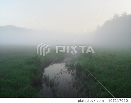 A stream quietly flowing through Oe Wetland in Ozenuma, misted in the summer morning mist. A stream quietly flowing through Oe Wetland in Ozenuma, misted in the summer morning mist. 107117630