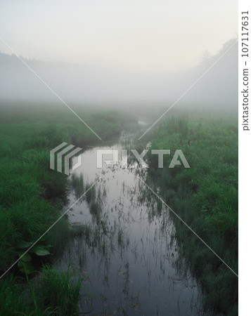 A stream quietly flowing through Oe Wetland in Ozenuma, misted in the summer morning mist. A stream quietly flowing through Oe Wetland in Ozenuma, misted in the summer morning mist. 107117631