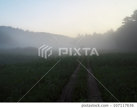 夏日晨霧中的大瀨沼大江濕地 107117636
