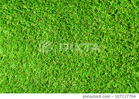 natural background, floral texture, green grass, foliage 107117704