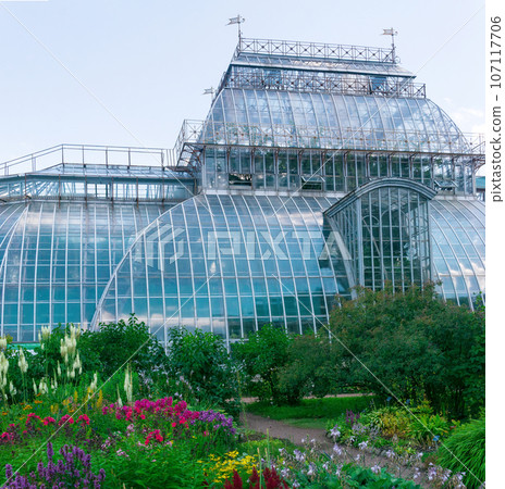flower garden against the backdrop of a large ancient palm greenhouse 107117706