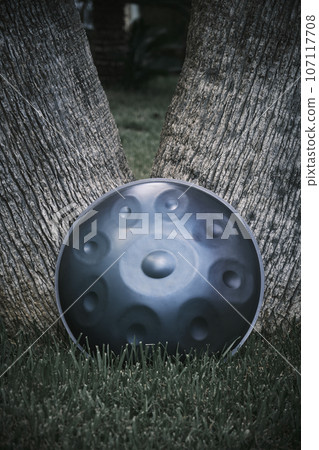 the handpan by the tree 107117708