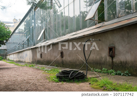 rubber watering hose near the wall of the greenhouse, greenhouse complex infrastructure rubber watering hose near the wall of the greenhouse, greenhouse complex infrastructure 107117742