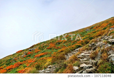從月山眺望天地美景 107118046