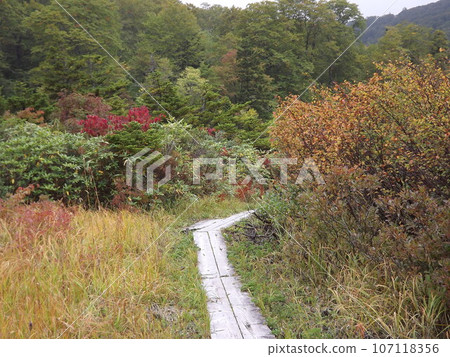 Hachimantai Mountain Road in October 107118356
