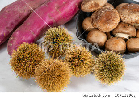 栗子、地瓜和蘑菇 107118905