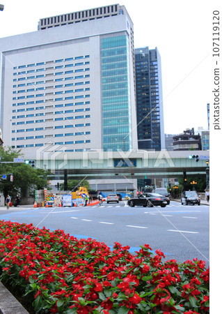 Flowerbed along the sidewalk at Tokyo Nihonbashi intersection Flowerbed along the sidewalk at Tokyo Nihonbashi intersection 107119120