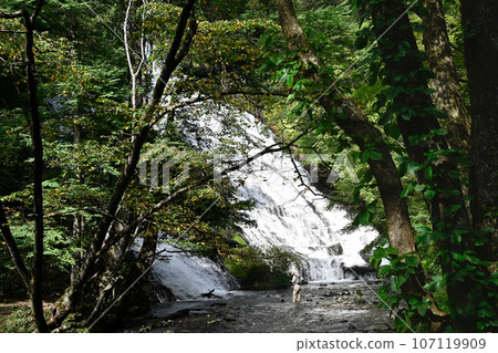 Ryuzu Falls, Nikko City, Tochigi Prefecture 107119909