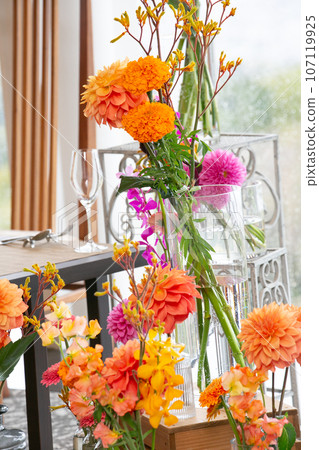 Decorative flowers in warm colors popular in spring and autumn Decorative flowers in warm colors popular in spring and autumn 107119925