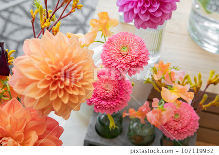 Gorgeous dahlias and gerberas in warm colors Gorgeous dahlias and gerberas in warm colors 107119932
