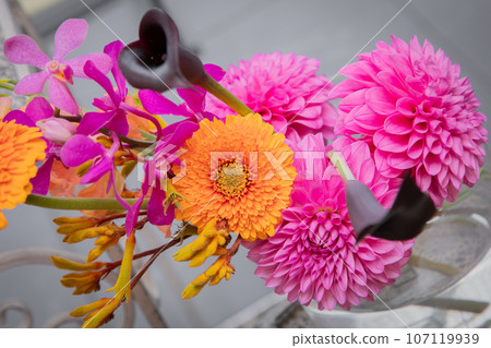 Bright pink and orange flowers Bright pink and orange flowers 107119939