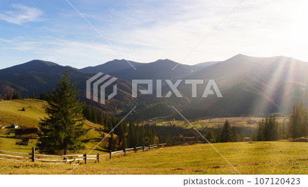 Majestic panorama of autumn mountains morning lighting with sun rays. Nature of Ukraine. Majestic panorama of autumn mountains morning lighting with sun rays. Nature of Ukraine. 107120423