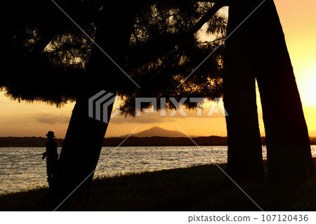 Romantic Ibaraki (A fisherman casts his line alone on the shore of a lake in a pine forest overlooking Mt. Tsukuba in the evening. An elegant time.) Hinuma, Oyazawa Park Romantic Ibaraki (A fisherman casts his line alone on the shore of a lake in a pine forest overlooking Mt. Tsukuba in the evening. An elegant time.) Hinuma, Oyazawa Park 107120436