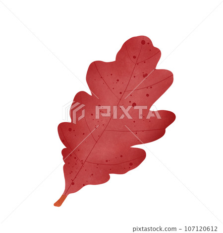 Red oak leaf 107120612