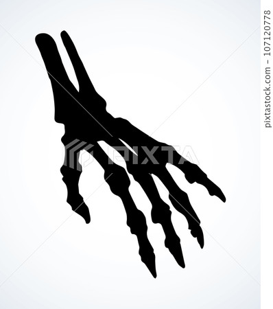 The bones of the hand. Vector drawing The bones of the hand. Vector drawing 107120778