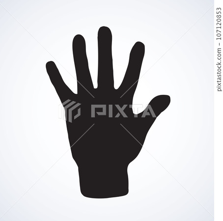 Palm. Vector drawing 107120853