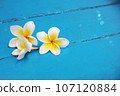 Indonesian cultural heritage plumeria 107120884