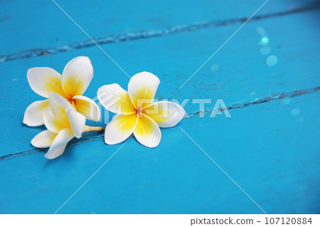 Indonesian cultural heritage plumeria 107120884