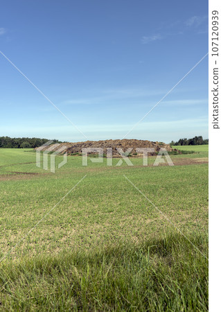 a pile of environmentally friendly manure a pile of environmentally friendly manure 107120939